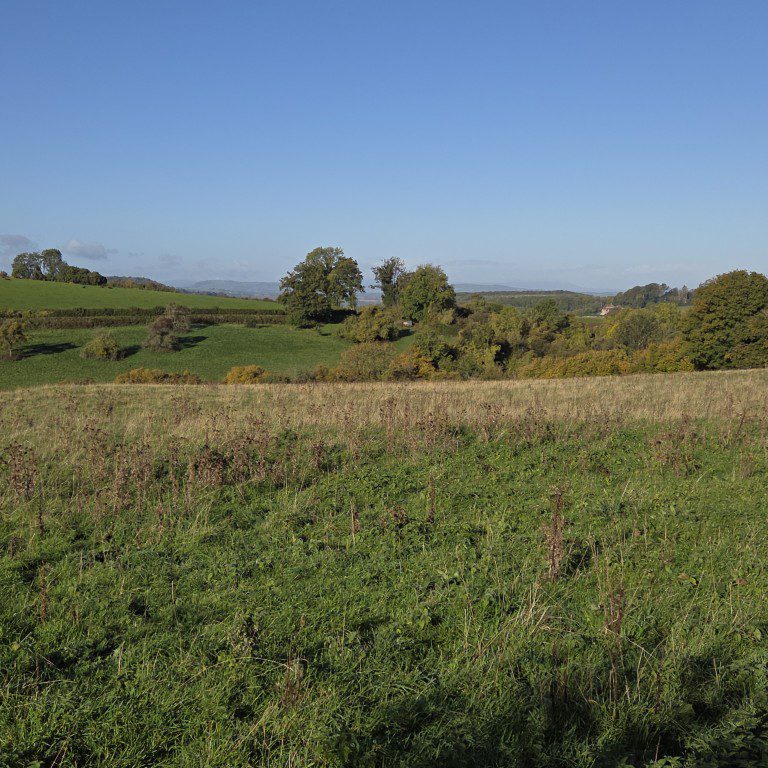🧭 Cotswold Marathon – P3